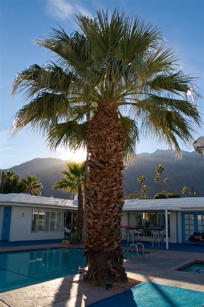 Palm Springs Rendezvous Hotel Bagian luar foto